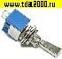Тумблер MTS-101-F1 on-off