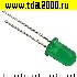 d=5мм зеленый 3-20mcd (АЛ307ГМ)