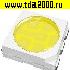 smd LED 5050(2020) белый 0.1вт чип светодиод<br>вид 1