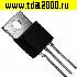 2N60 to220 металл транзистор<br>вид 2